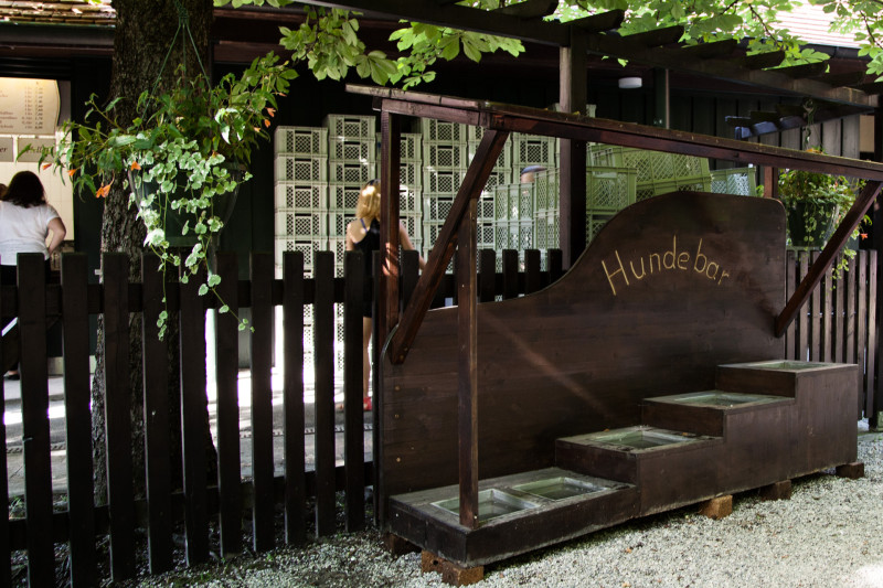 Biergarten Aumeister - die Hundebar